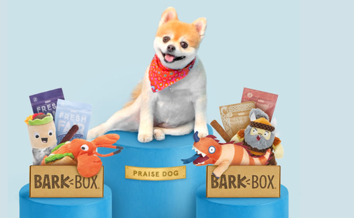 barkbox dog toys